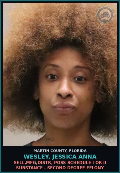 CCW arrest card for WESLEY, JESSICA ANNA in Martin County: POSSESSION NOT MORE THAN 20 GRAMS OF Canna - First Degree Misdemeanor