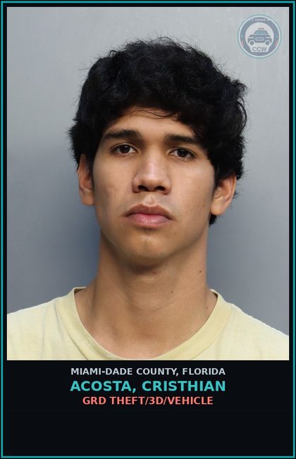 CCW arrest card for ACOSTA, CRISTHIAN in Miami-Dade County: GRD THEFT/3D/VEHICLE
