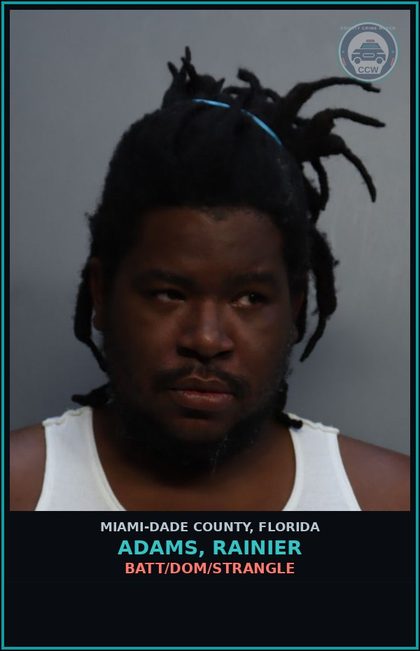 CCW arrest card for ADAMS, RAINIER in Miami-Dade County: BATT/DOM/STRANGLE