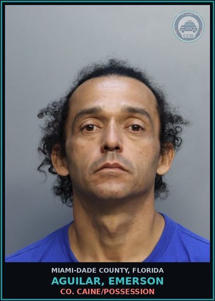 CCW arrest card for AGUILAR, EMERSON in Miami-Dade County: PETIT THEFT 2> CONV