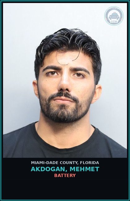 CCW arrest card for AKDOGAN, MEHMET in Miami-Dade County: BATT/DOM/STRANGLE