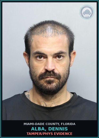 CCW arrest card for ALBA, DENNIS in Miami-Dade County: TAMPER/PHYS EVIDENCE