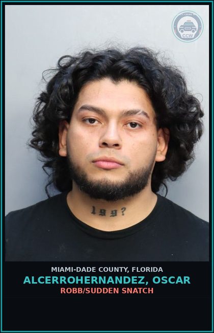 CCW arrest card for ALCERROHERNANDEZ, OSCAR in Miami-Dade County: ROBB/SUDDEN SNATCH
