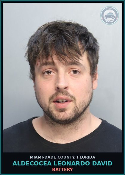 CCW arrest card for ALDECOCEA LEONARDO  DAVID in Miami-Dade County: BATTERY