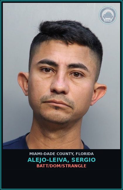 CCW arrest card for ALEJO-LEIVA, SERGIO in Miami-Dade County: BATT/DOM/STRANGLE