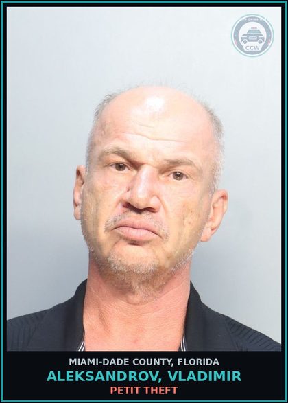 CCW arrest card for ALEKSANDROV, VLADIMIR in Miami-Dade County: PETIT THEFT
