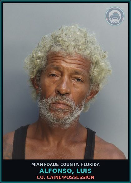 CCW arrest card for ALFONSO, LUIS in Miami-Dade County: COCAINE/POSSESSION