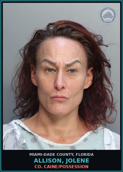 CCW arrest card for ALLISON, JOLENE in Miami-Dade County: COCAINE/POSSESSION