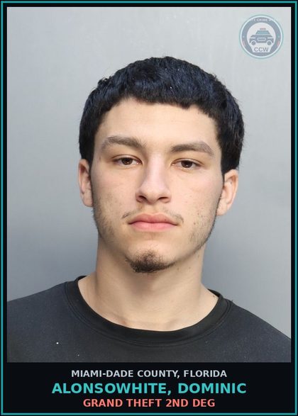 CCW arrest card for ALONSOWHITE, DOMINIC in Miami-Dade County: GRAND THEFT 2ND DEG
