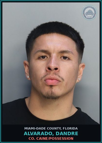 CCW arrest card for ALVARADO, DANDRE in Miami-Dade County: COCAINE/POSSESSION
