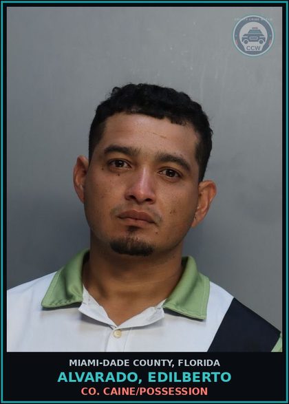 CCW arrest card for ALVARADO, EDILBERTO in Miami-Dade County: COCAINE/POSSESSION