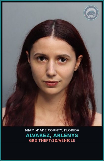 CCW arrest card for ALVAREZ, ARLENYS in Miami-Dade County: GRD THEFT/3D/VEHICLE