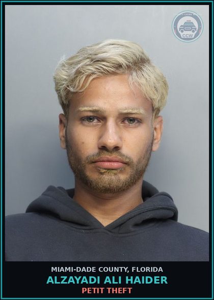 CCW arrest card for ALZAYADI ALI  HAIDER in Miami-Dade County: PETIT THEFT