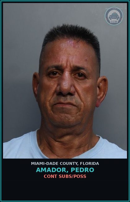 CCW arrest card for AMADOR, PEDRO in Miami-Dade County: CONT SUBS/POSS