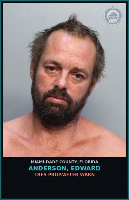 CCW arrest card for ANDERSON, EDWARD in Miami-Dade County: TRES PROP/AFTER WARN