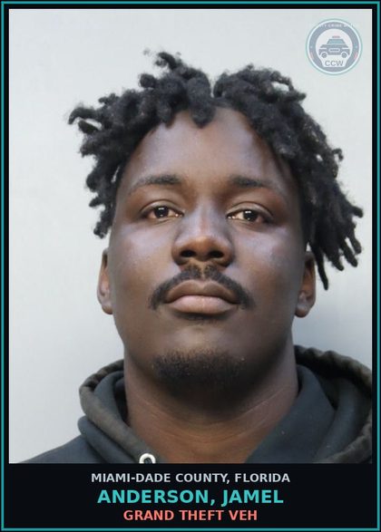 CCW arrest card for ANDERSON, JAMEL in Miami-Dade County: GRAND THEFT VEH