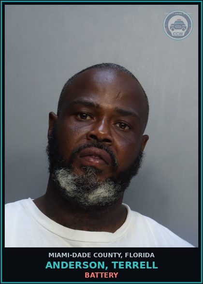 CCW arrest card for ANDERSON, TERRELL in Miami-Dade County: FALSE IMPRISONMENT