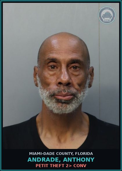 CCW arrest card for ANDRADE, ANTHONY in Miami-Dade County: PETIT THEFT 2> CONV