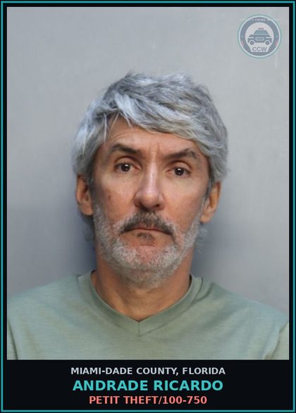 CCW arrest card for ANDRADE RICARDO in Miami-Dade County: PETIT THEFT/100-750