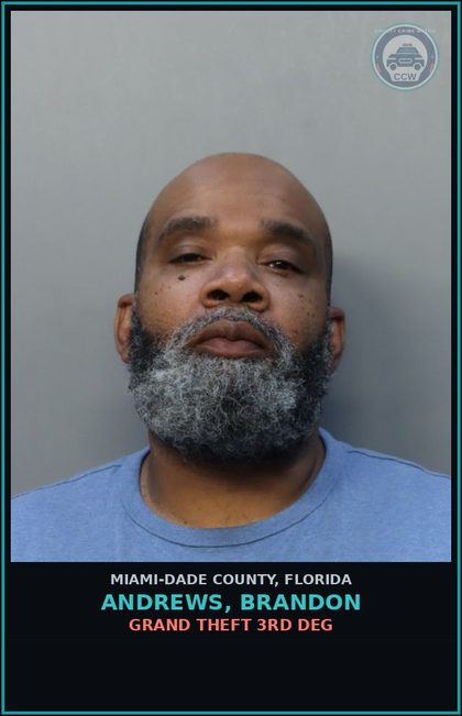CCW arrest card for ANDREWS, BRANDON in Miami-Dade County: GRAND THEFT 3RD DEG
