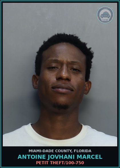 CCW arrest card for ANTOINE JOVHANI  MARCEL in Miami-Dade County: PETIT THEFT/100-750