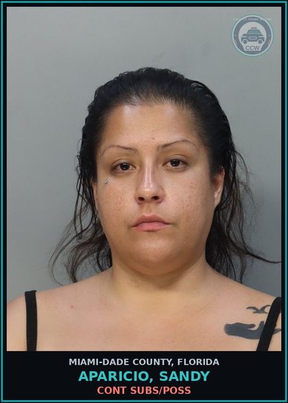 CCW arrest card for APARICIO, SANDY in Miami-Dade County: CONT SUBS/POSS