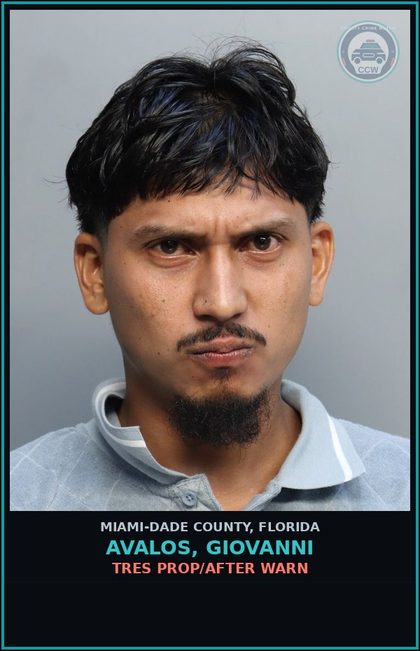 CCW arrest card for AVALOS, GIOVANNI in Miami-Dade County: TRES PROP/AFTER WARN