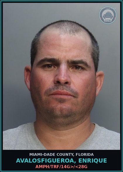 CCW arrest card for AVALOSFIGUEROA, ENRIQUE in Miami-Dade County: AMPH/TRF/14G>/<28G