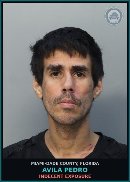CCW arrest card for AVILA PEDRO in Miami-Dade County: INDECENT EXPOSURE