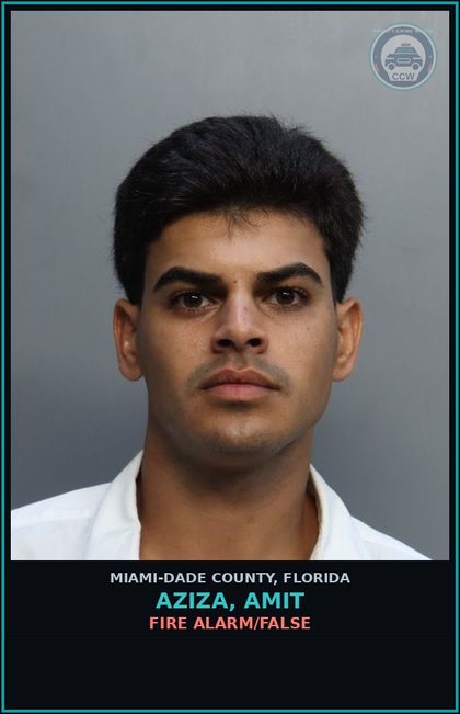 CCW arrest card for AZIZA, AMIT in Miami-Dade County: FIRE ALARM/FALSE