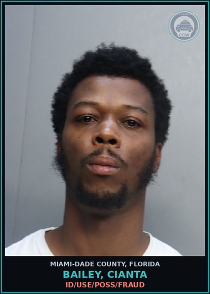 CCW arrest card for BAILEY, CIANTA in Miami-Dade County: THEFT 750<>5K/RIOT