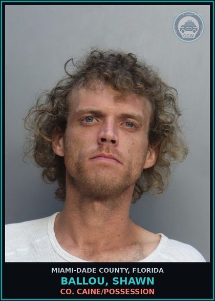 CCW arrest card for BALLOU, SHAWN in Miami-Dade County: COCAINE/POSSESSION