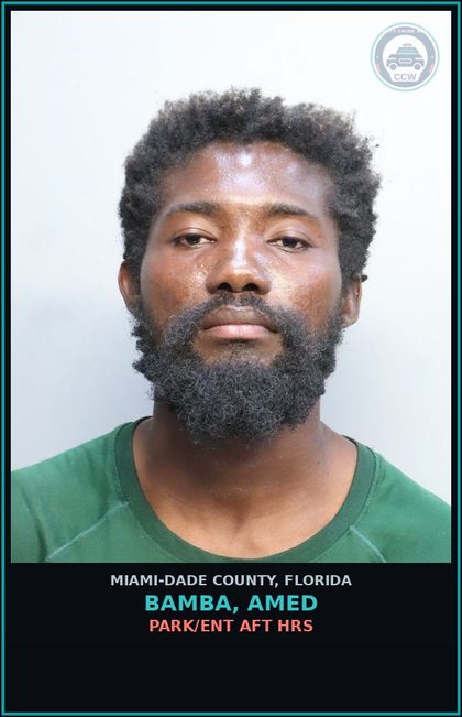 CCW arrest card for BAMBA, AMED in Miami-Dade County: PARK/ENT AFT HRS
