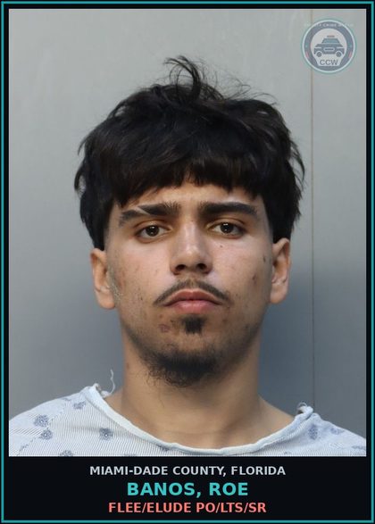CCW arrest card for BANOS, ROE in Miami-Dade County: FLEE/ELUDE PO/LTS/SR