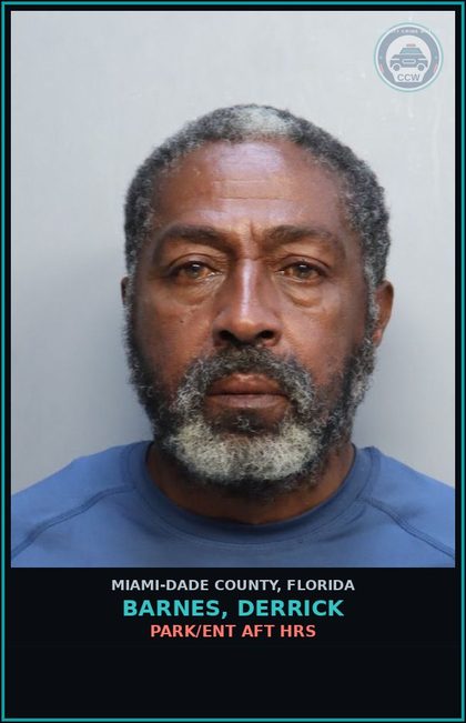 CCW arrest card for BARNES, DERRICK in Miami-Dade County: PARK/ENT AFT HRS