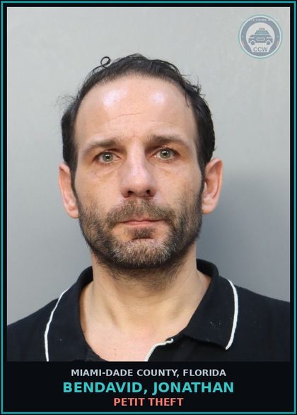 CCW arrest card for BENDAVID, JONATHAN in Miami-Dade County: PETIT THEFT