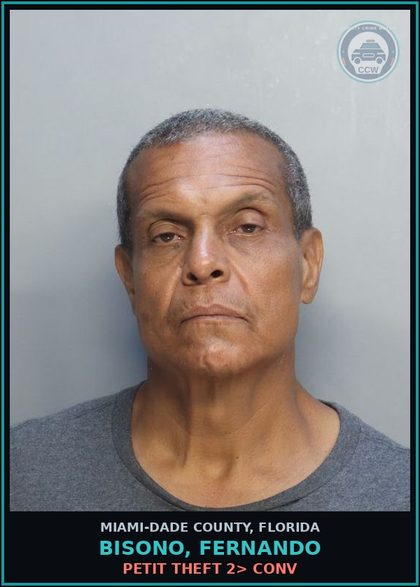 CCW arrest card for BISONO, FERNANDO in Miami-Dade County: PETIT THEFT 2> CONV