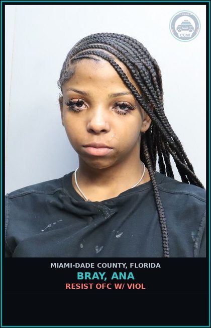 CCW arrest card for BRAY, ANA in Miami-Dade County: ASSLT/AGG/LEO/FIRERM