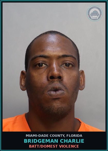 CCW arrest card for BRIDGEMAN CHARLIE in Miami-Dade County: BATT/DOMEST VIOLENCE
