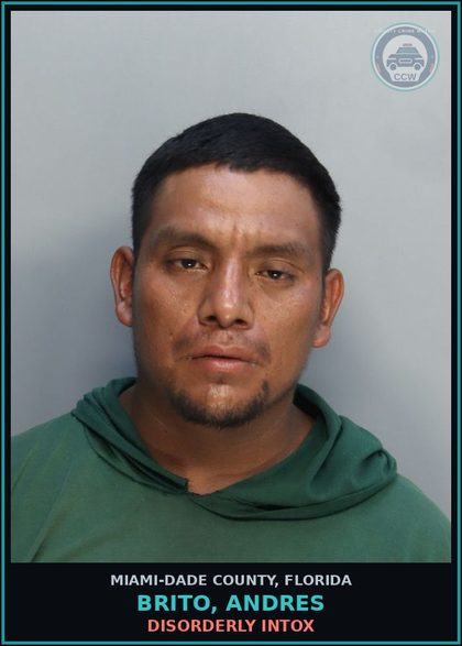 CCW arrest card for BRITO, ANDRES in Miami-Dade County: DISORDERLY INTOX