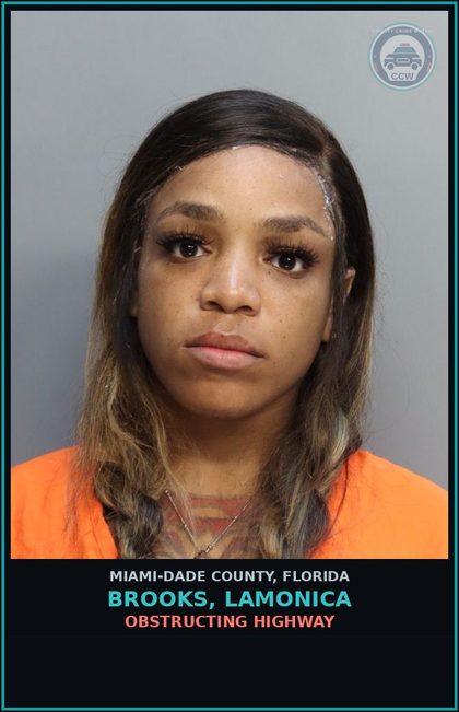 CCW arrest card for BROOKS, LAMONICA in Miami-Dade County: INDECENT EXPOSURE