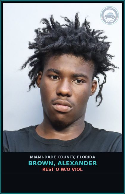 CCW arrest card for BROWN, ALEXANDER in Miami-Dade County: REST O W/O VIOL