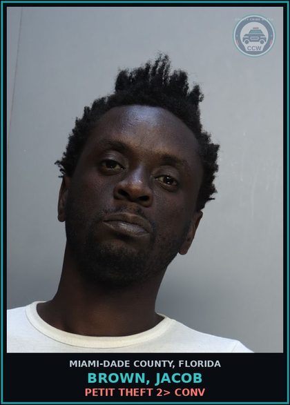 CCW arrest card for BROWN, JACOB in Miami-Dade County: PETIT THEFT 2> CONV