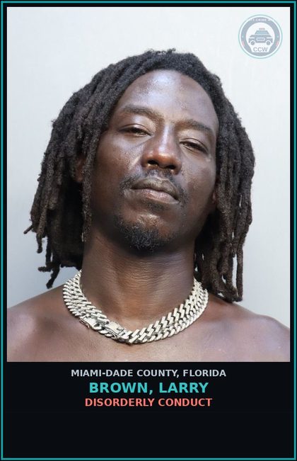 CCW arrest card for BROWN, LARRY in Miami-Dade County: DISORDERLY CONDUCT