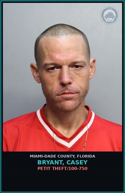CCW arrest card for BRYANT, CASEY in Miami-Dade County: PETIT THEFT/100-750