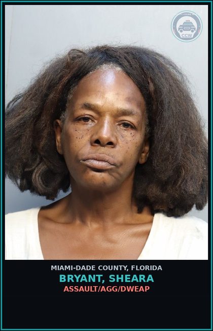 CCW arrest card for BRYANT, SHEARA in Miami-Dade County: ASSAULT/AGG/DWEAP