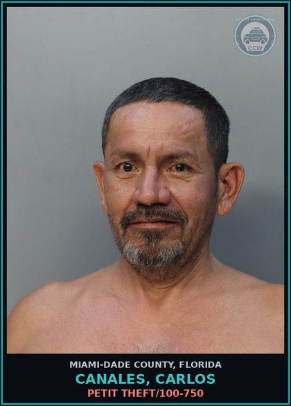 CCW arrest card for CANALES, CARLOS in Miami-Dade County: PETIT THEFT/100-750