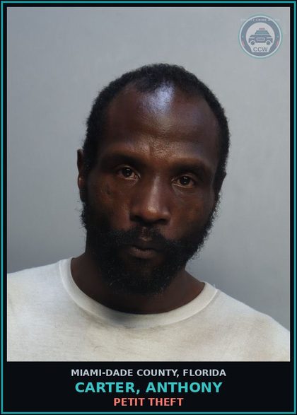 CCW arrest card for CARTER, ANTHONY in Miami-Dade County: PETIT THEFT