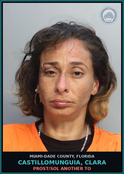 CCW arrest card for CASTILLOMUNGUIA, CLARA in Miami-Dade County: PROST/SOL ANOTHER TO