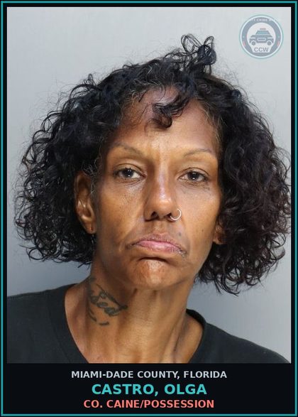 CCW arrest card for CASTRO, OLGA in Miami-Dade County: COCAINE/POSSESSION